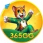 365gg - vip